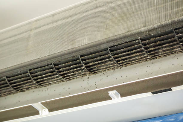 Best Duct Cleaning Specialists  in Hyde, PA